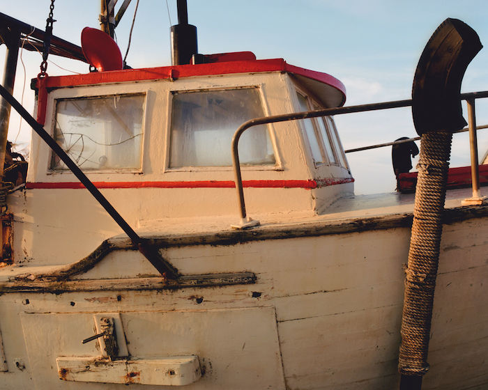 ALL THE TIME IN THE WORLD